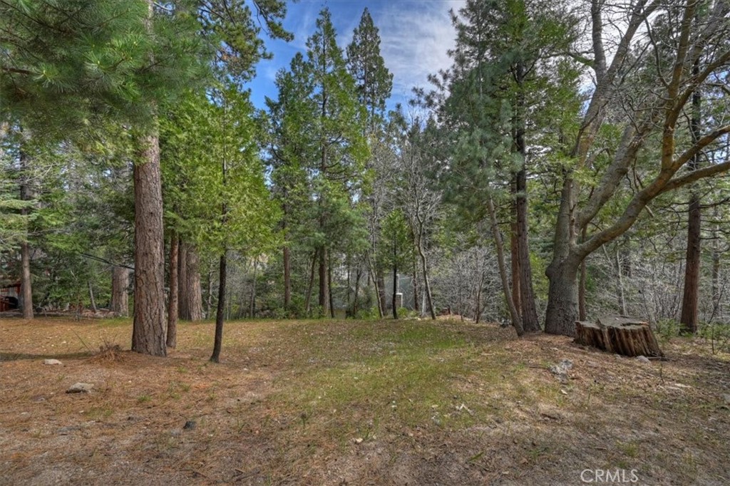 27297 Little Bear Road Blue Jay, CA 92317 - Photo 8 of 46 Back yard