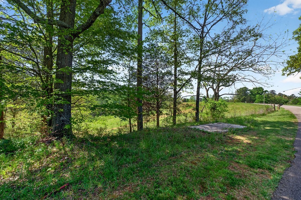 515 Jericho Road Quebeck, TN 38579 - Photo 57 of 60