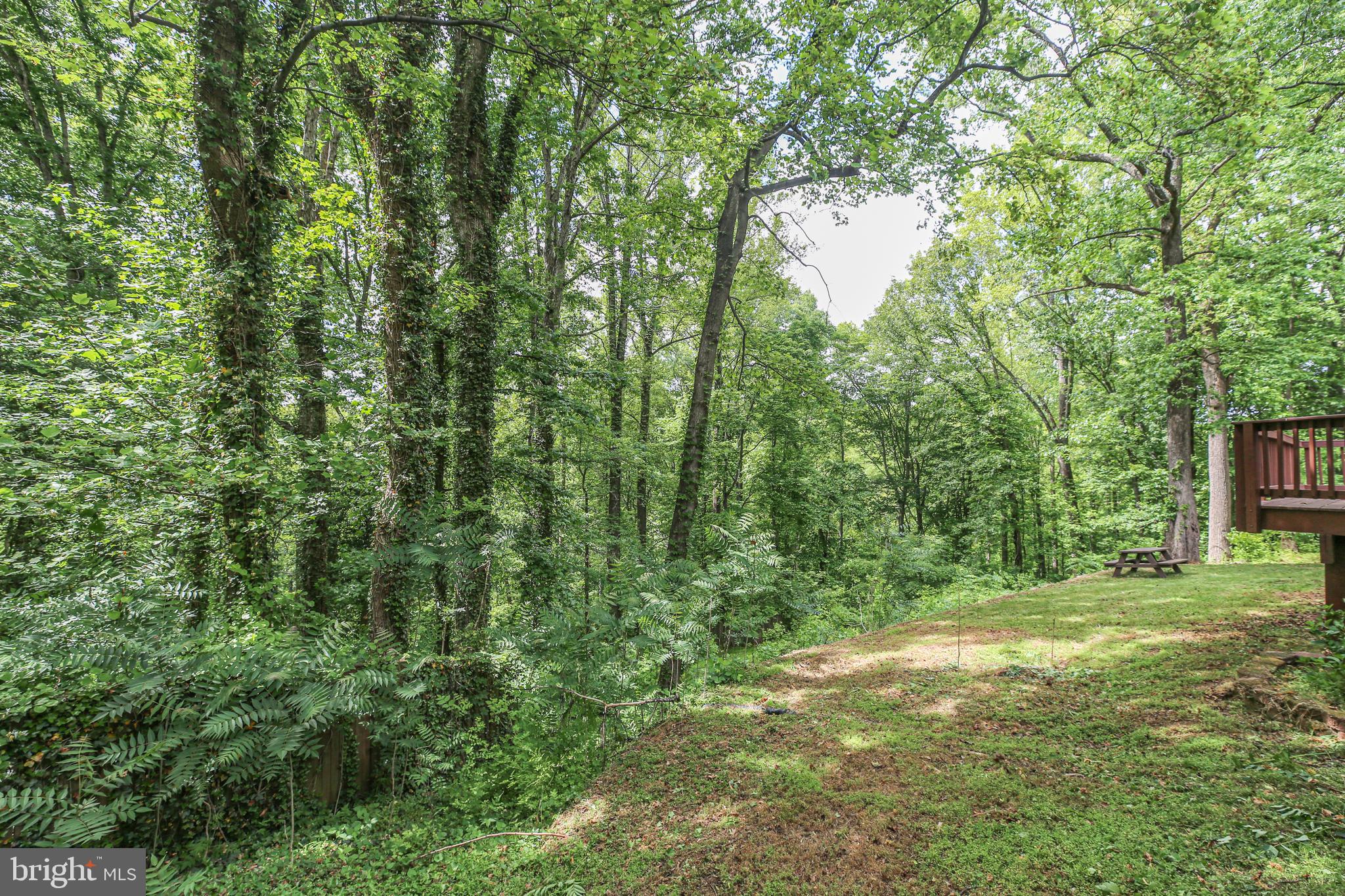 289 Sandy Ridge Road Fredericksburg, VA 22405 - Photo 37 of 37