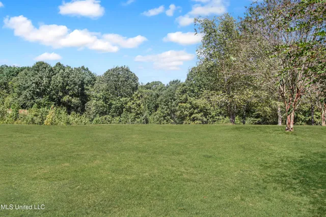 $275,000 | 294 County Road 325, Vaiden, MS 39176