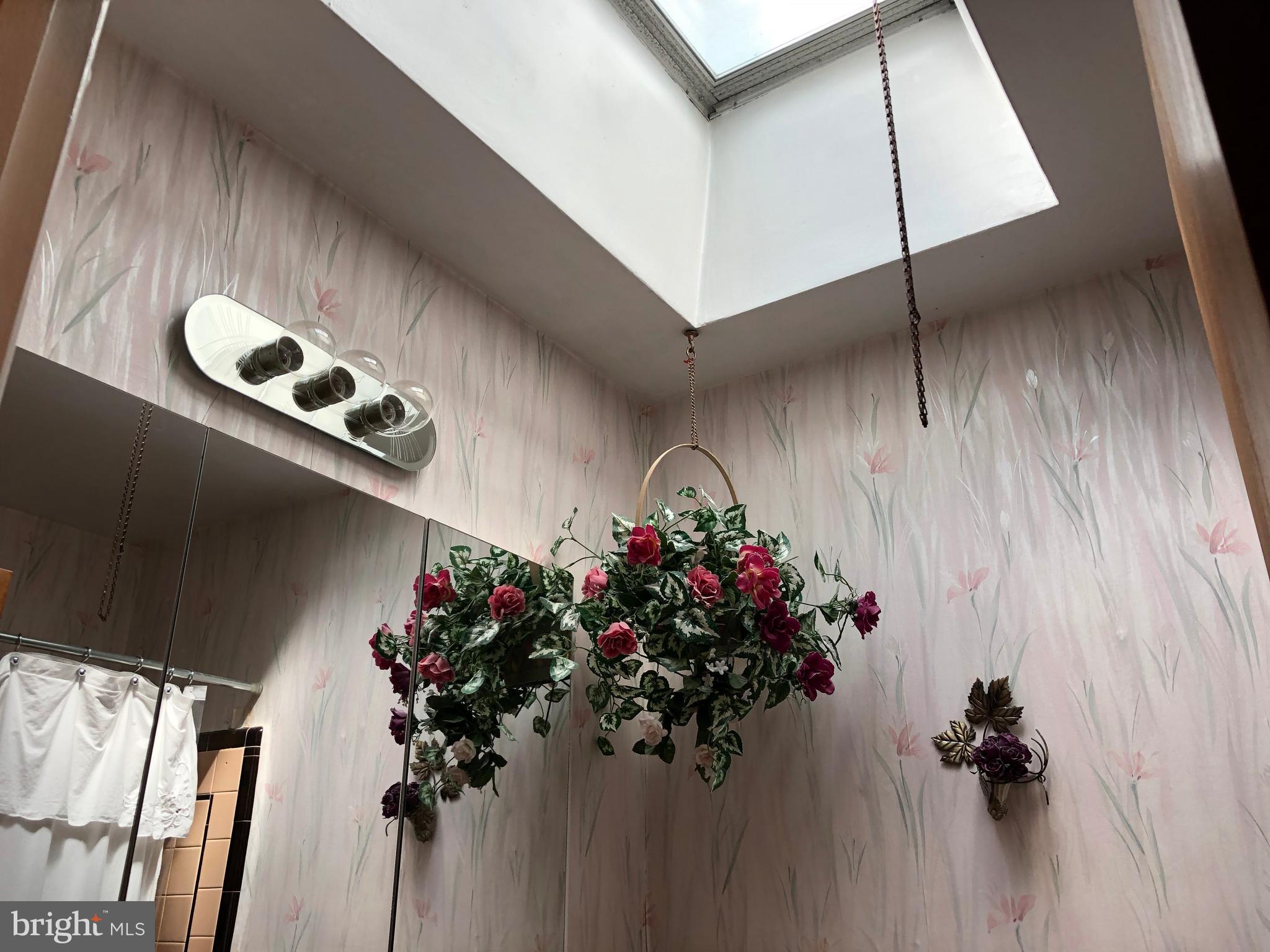 2952 Willits Road Philadelphia, PA 19136 - Photo 22 of 42 Skylight in Hall Bath