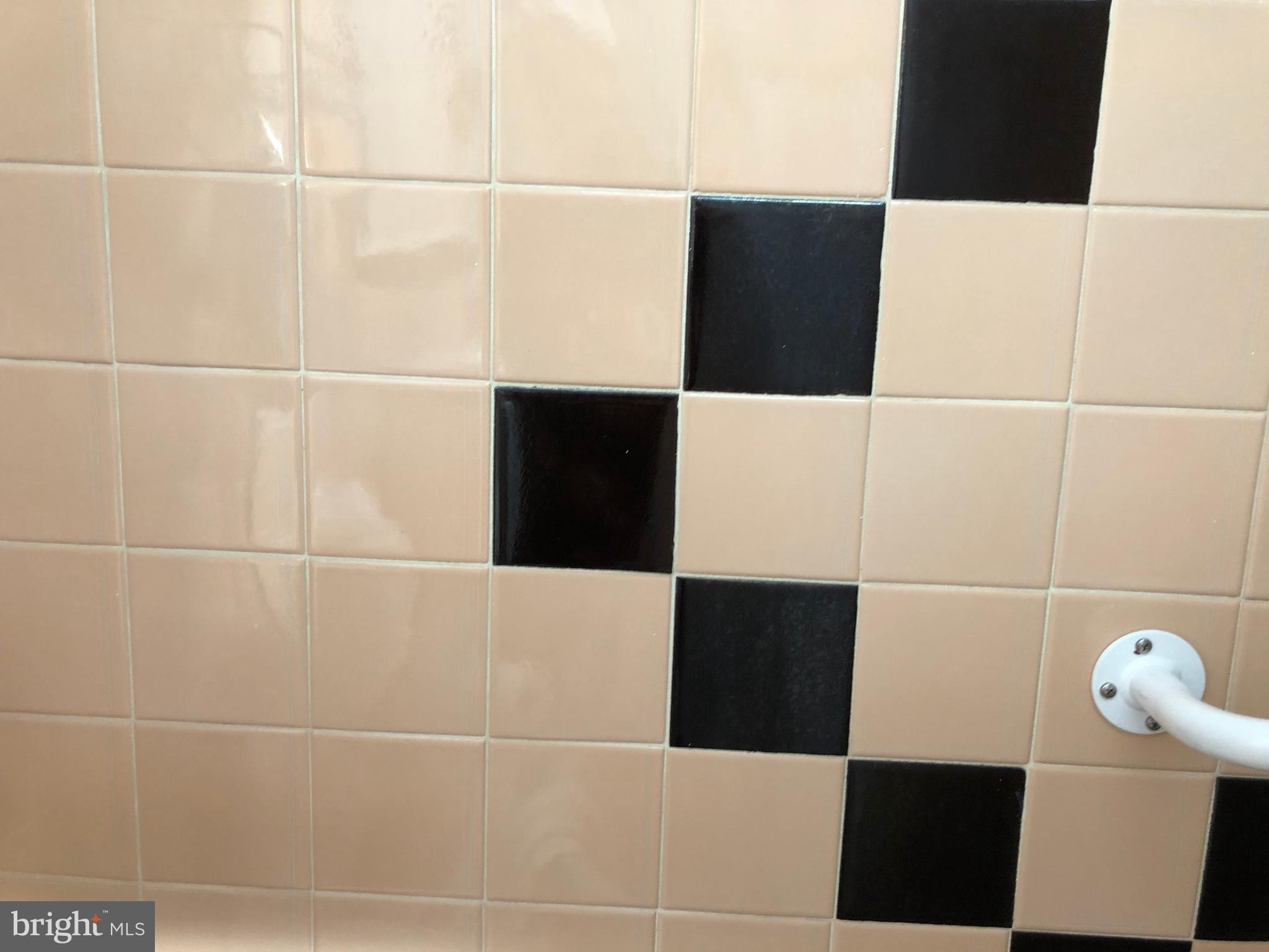 2952 Willits Road Philadelphia, PA 19136 - Photo 24 of 42 Shower Tile