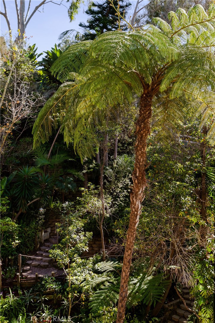 781 Summit Drive Laguna Beach, CA 92651 - Photo 40 of 73