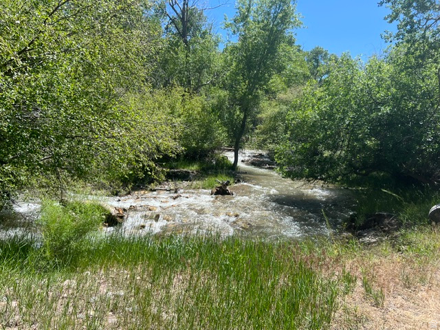 865 South Bullion Canyon Road, Unit 3 Marysvale, UT 84750 - Photo 3 of 30 Natural stream with flowing water, surrounded by lush green foliage and mature trees