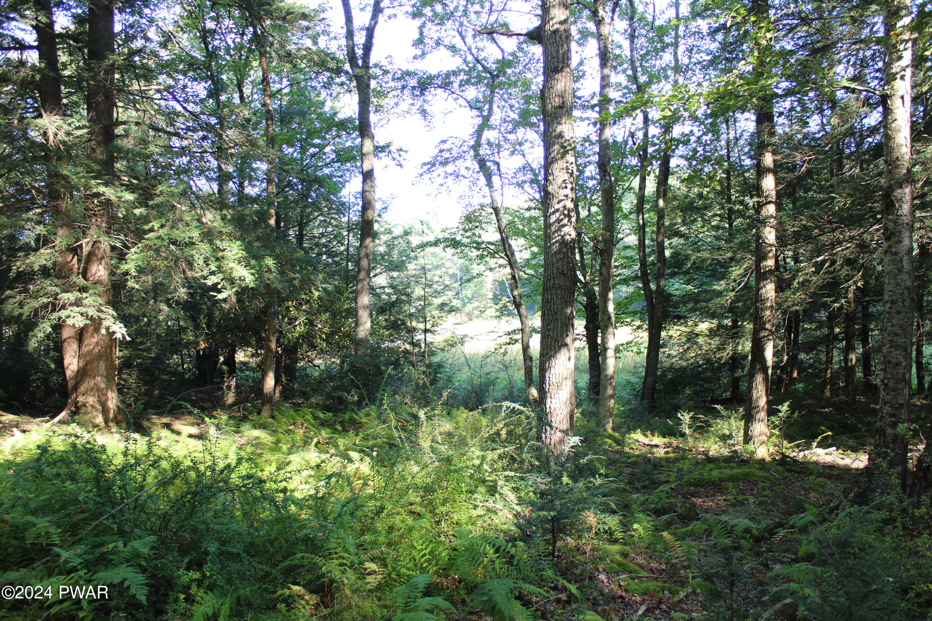 165 North Shore Road Greentown, PA 18426 - Photo 27 of 31 Path to Lake