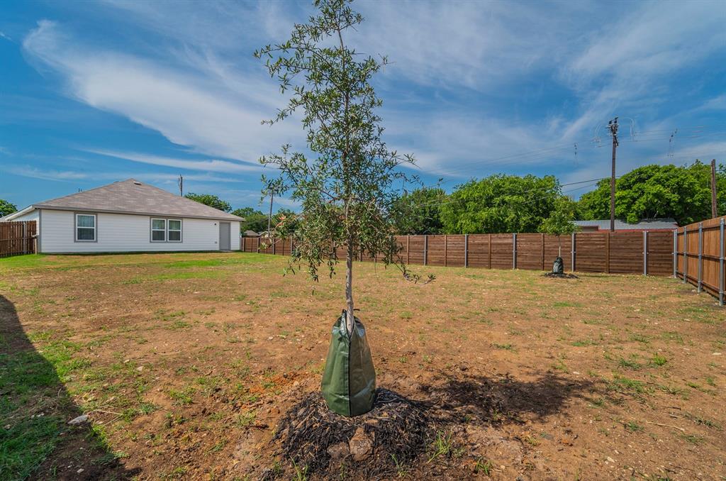 440 Rose Avenue Cleburne, TX 76033 - Photo 13 of 14 a garden view