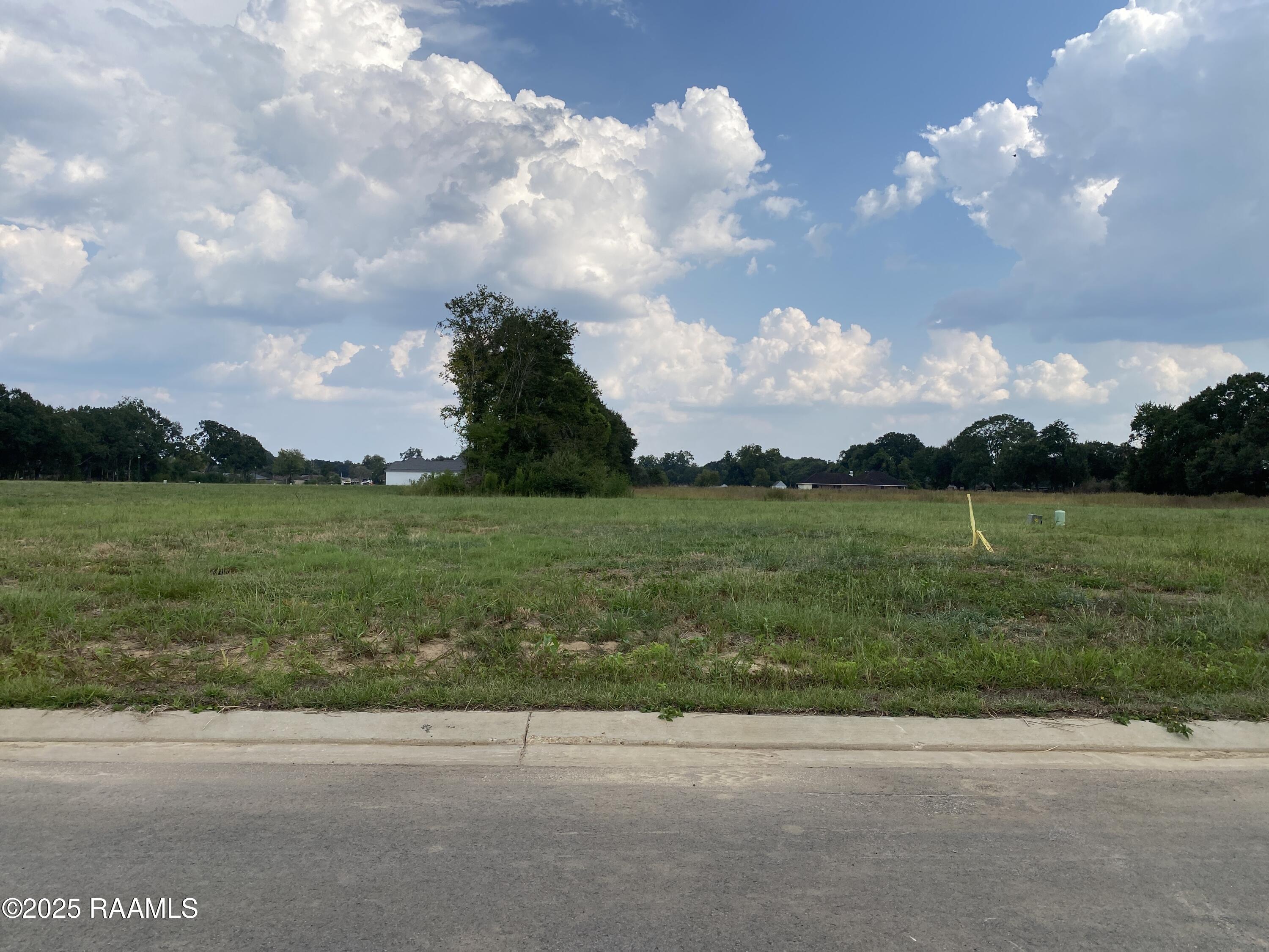 104 Blue Cove Lafayette, LA 70508 - Photo 1 of 1 Front Elevation