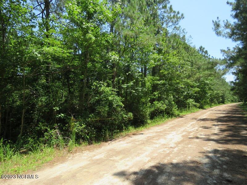 0 Leaning Pine Road Southeast Bolivia, NC 28422 - Photo 17 of 27 IMG_6863
