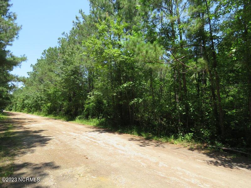 0 Leaning Pine Road Southeast Bolivia, NC 28422 - Photo 19 of 27 IMG_6865