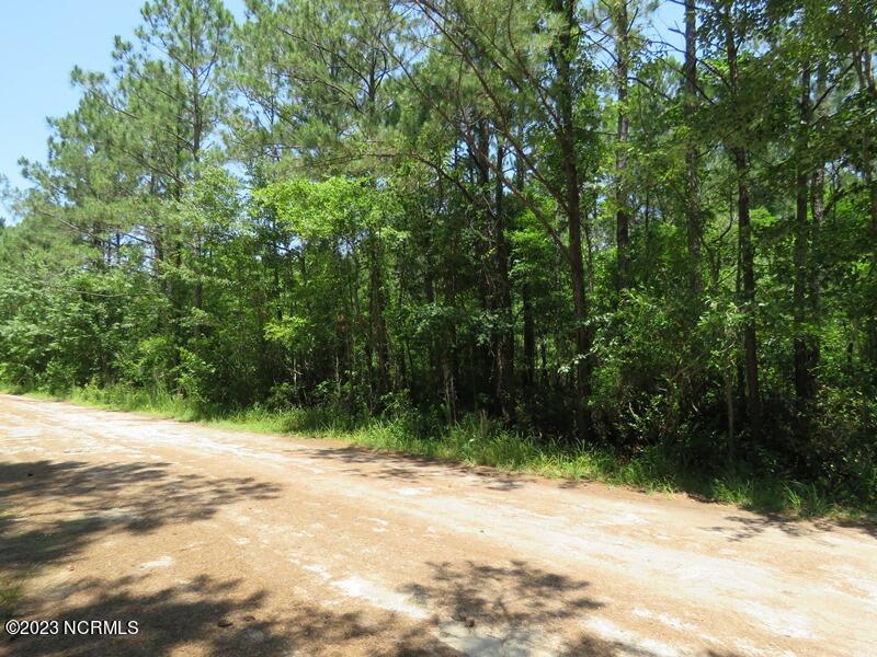 0 Leaning Pine Road Southeast Bolivia, NC 28422 - Photo 20 of 27 IMG_6866