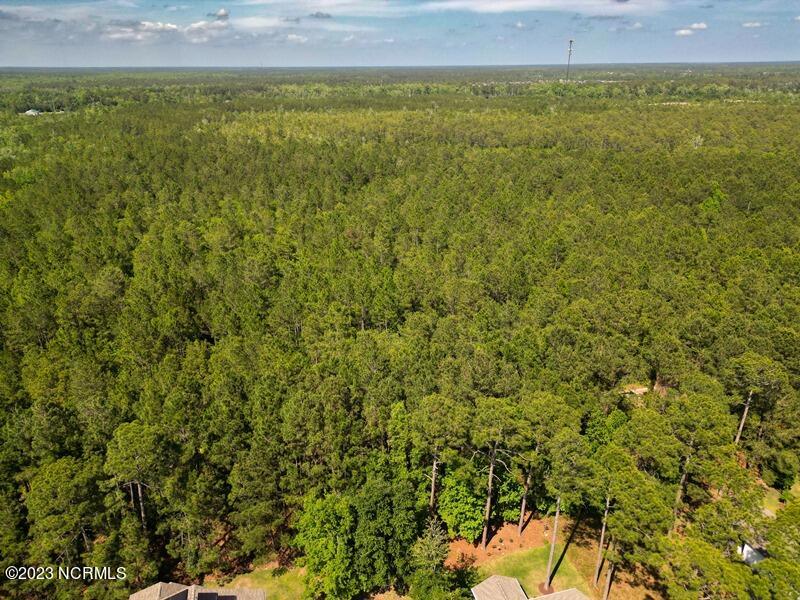 0 Leaning Pine Road Southeast Bolivia, NC 28422 - Photo 2 of 27 200FT AGL CARDINAL DIRECTION VIEWS (1)
