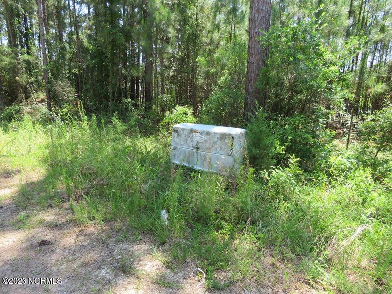 0 Leaning Pine Road Southeast Bolivia, NC 28422 - Photo 21 of 27 IMG_6868