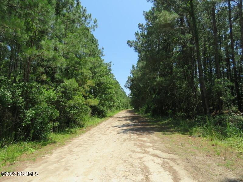 0 Leaning Pine Road Southeast Bolivia, NC 28422 - Photo 22 of 27 IMG_6869