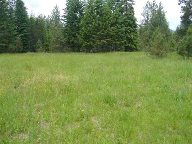 13717 East Oregon Road Elk, WA 99009 - Photo 9 of 9