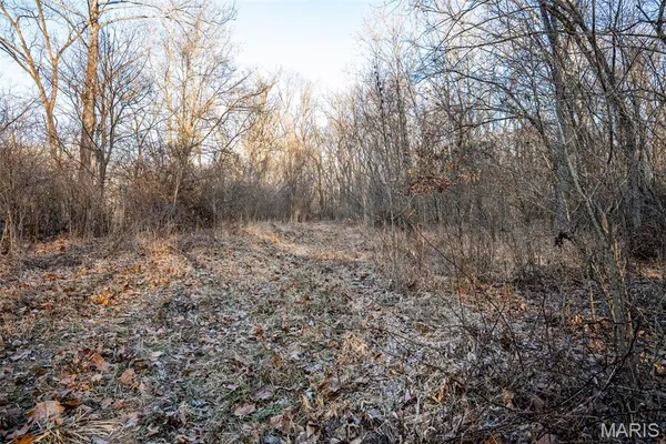 $339,000 | 498 Panama Avenue, Sorento, IL 62086