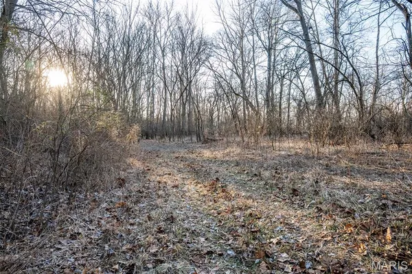 $339,000 | 498 Panama Avenue, Sorento, IL 62086