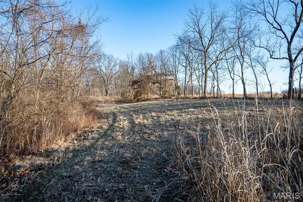 $339,000 | 498 Panama Avenue, Sorento, IL 62086