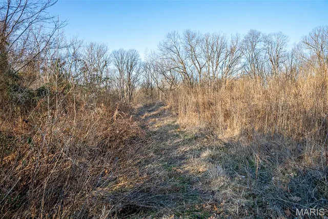 $359,500 | 498 Panama Avenue, Sorento, IL 62086