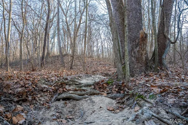 $339,000 | 498 Panama Avenue, Sorento, IL 62086