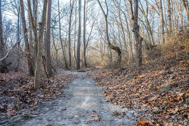 $359,500 | 498 Panama Avenue, Sorento, IL 62086