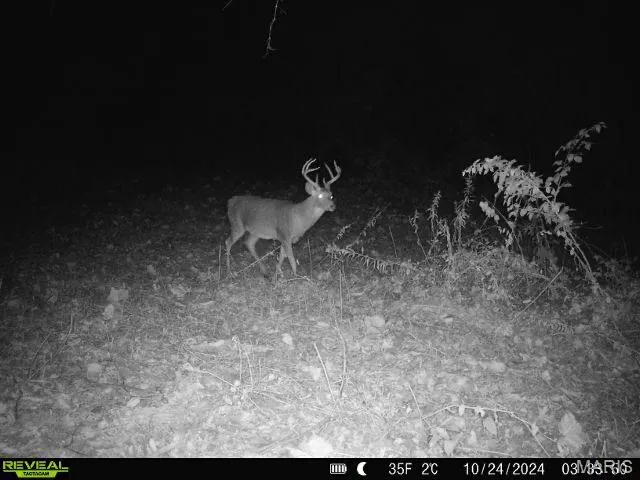 $359,500 | 498 Panama Avenue, Sorento, IL 62086