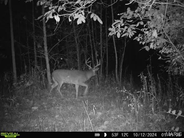 $339,000 | 498 Panama Avenue, Sorento, IL 62086