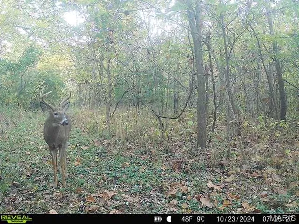 $339,000 | 498 Panama Avenue, Sorento, IL 62086