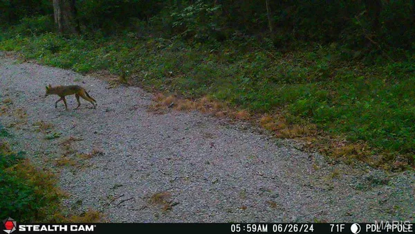 $339,000 | 498 Panama Avenue, Sorento, IL 62086