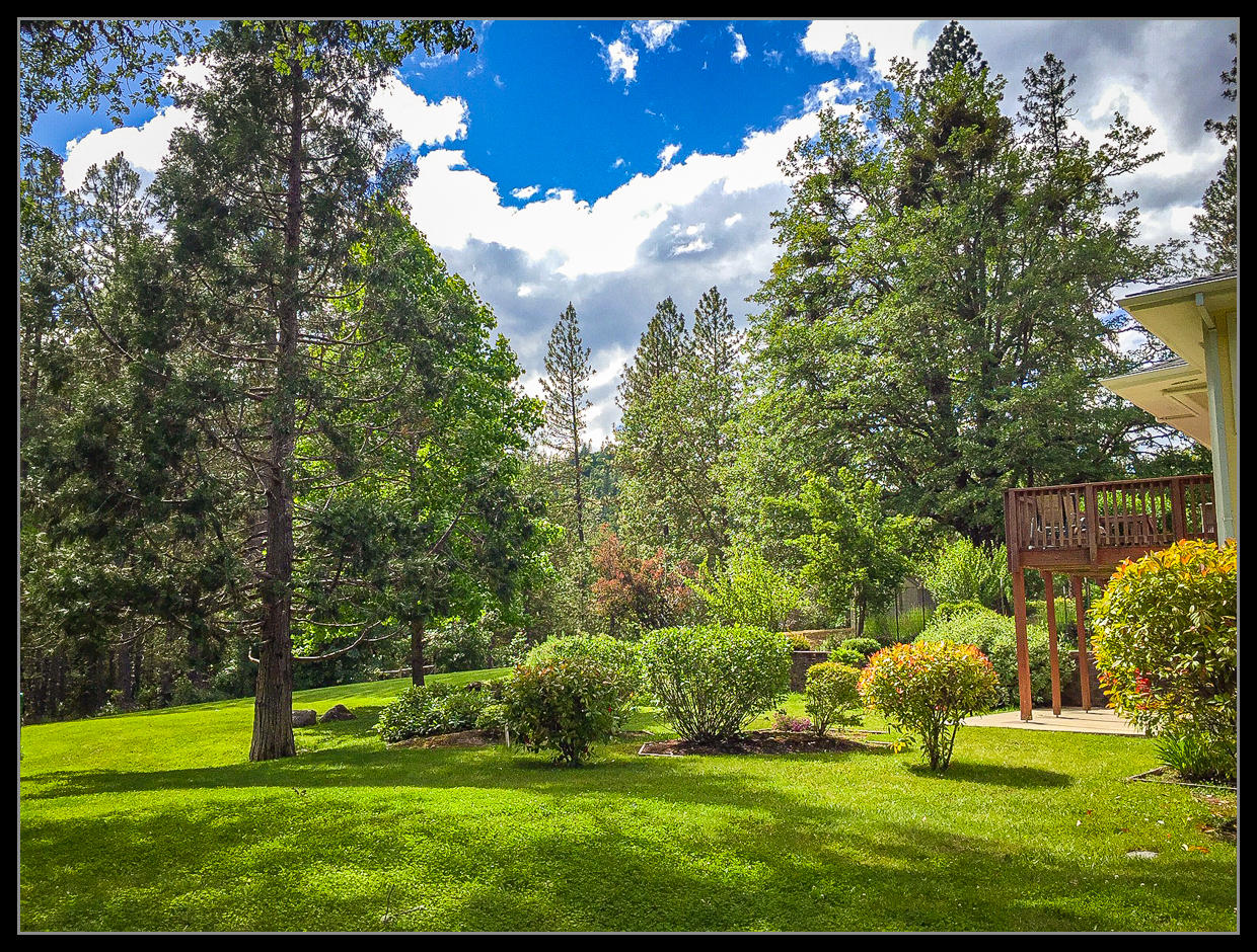 401 West Intervale Road Grants Pass, OR 97527 - Photo 15 of 51 Beautiful views from basement patio.
