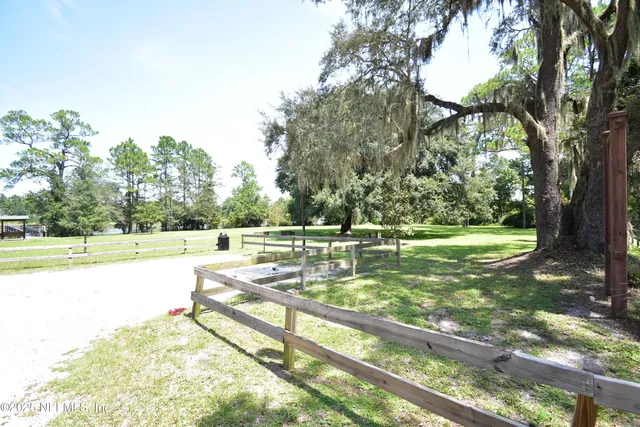 a view of park with trees
