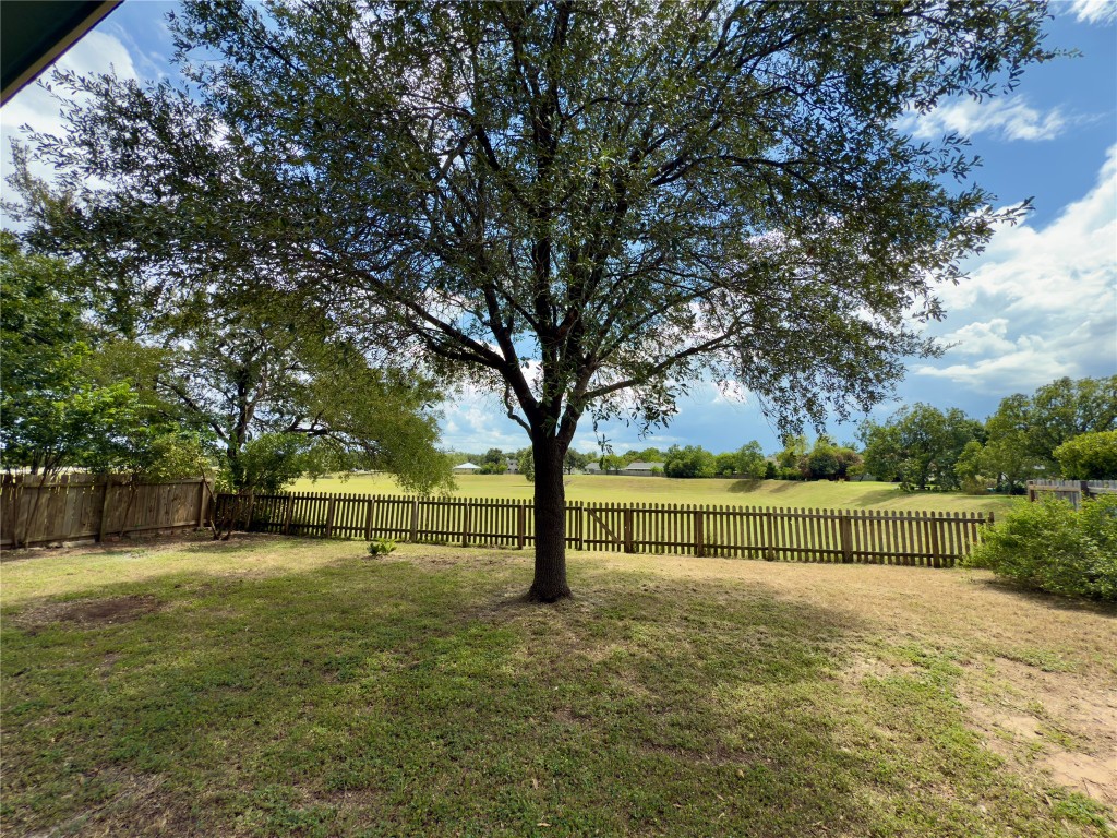 818 Russet Valley Drive Cedar Park, TX 78613 - Photo 16 of 17 a view of a yard with a trees
