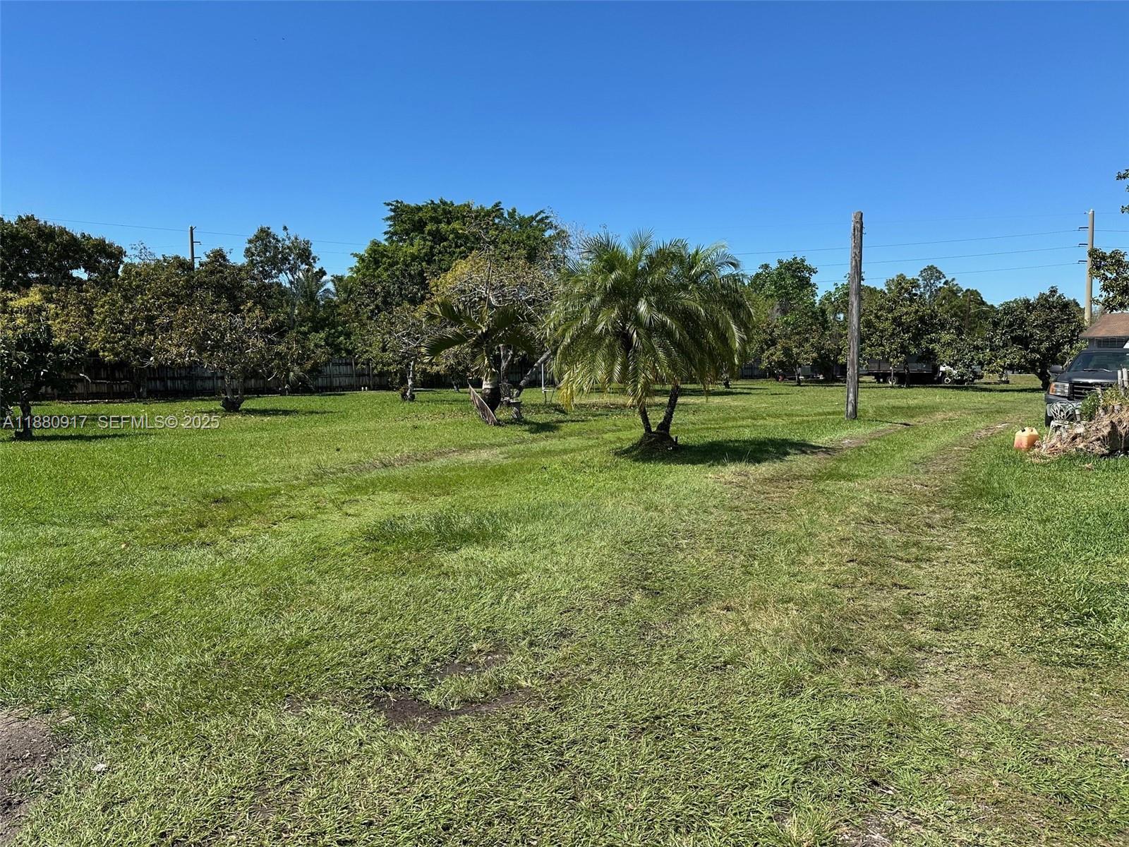 12495 Southwest 240th Street Homestead, FL 33032 - Photo 25 of 26 a view of a green field with trees in the background