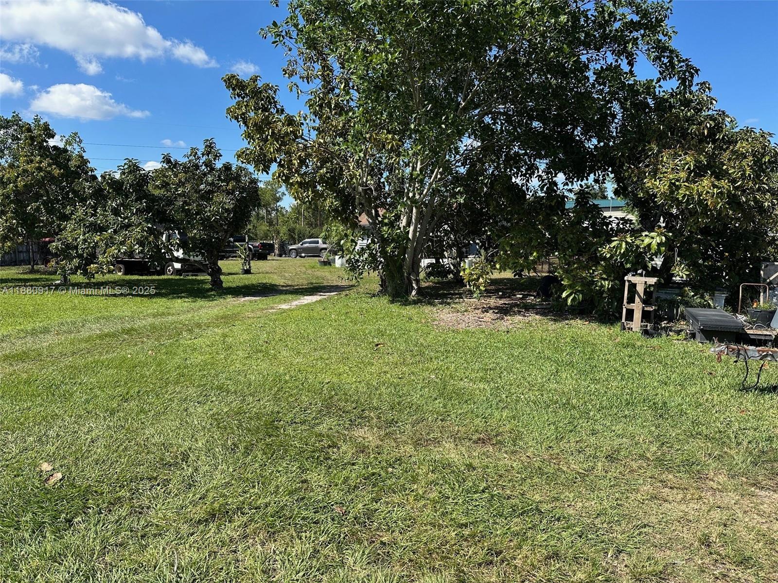 12495 Southwest 240th Street Homestead, FL 33032 - Photo 26 of 26 a view of a field of grass and trees