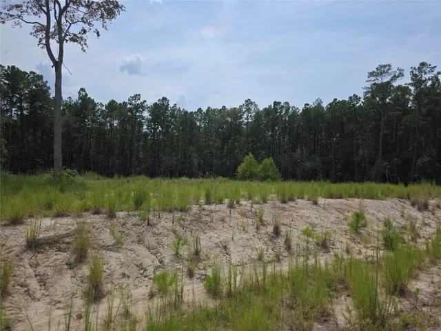 a view of a lake with a city