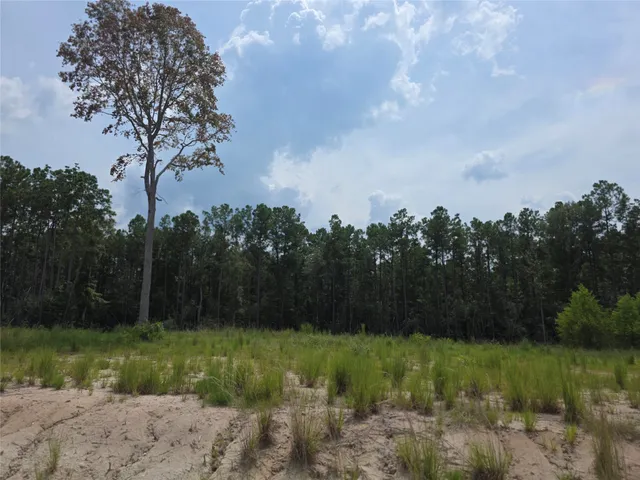 a view of backyard with green space