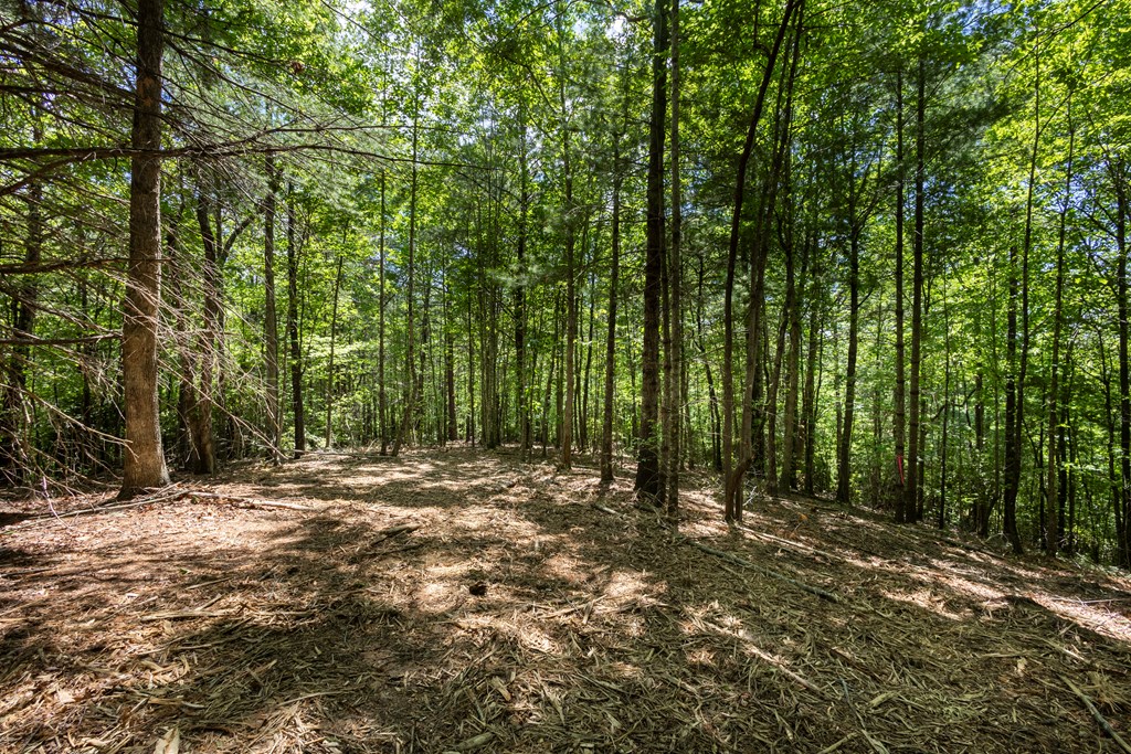 4.0-acre Donley Road Murphy, NC 28906 - Photo 4 of 15