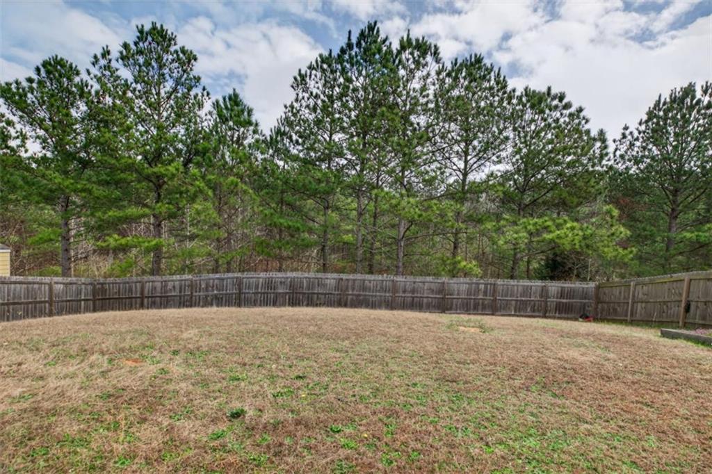 338 Springwater Way Bremen, GA 30110 - Photo 19 of 24