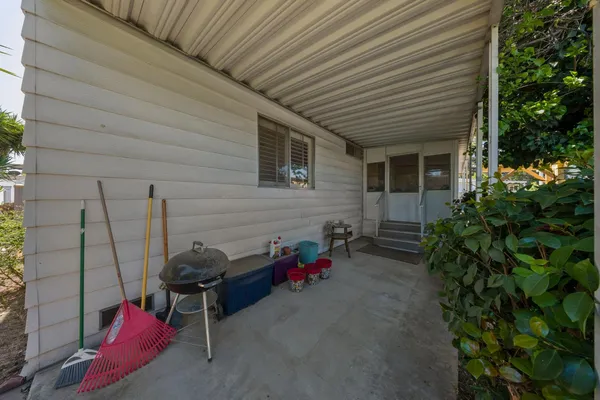 a view of a backyard with palm trees