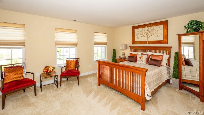 13329 Diamond Ridge Drive Midlothian, VA 23112 - Photo 18 of 34 Gallery Image 18