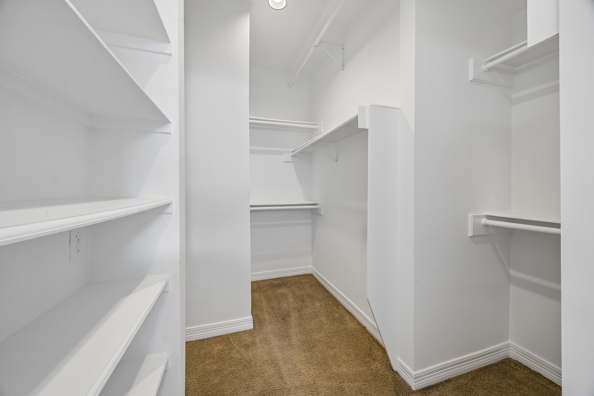 812 West 13th Street Houston, TX 77008 - Photo 18 of 29 Spacious walk-in closet with ample shelving and hanging space, featuring white walls and carpeted flooring. Ideal for organized storage.
