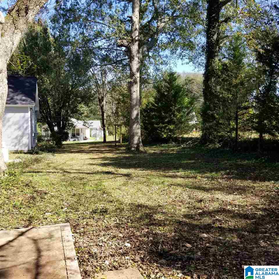 1451 Main Street Roanoke, AL 36274 - Photo 25 of 30