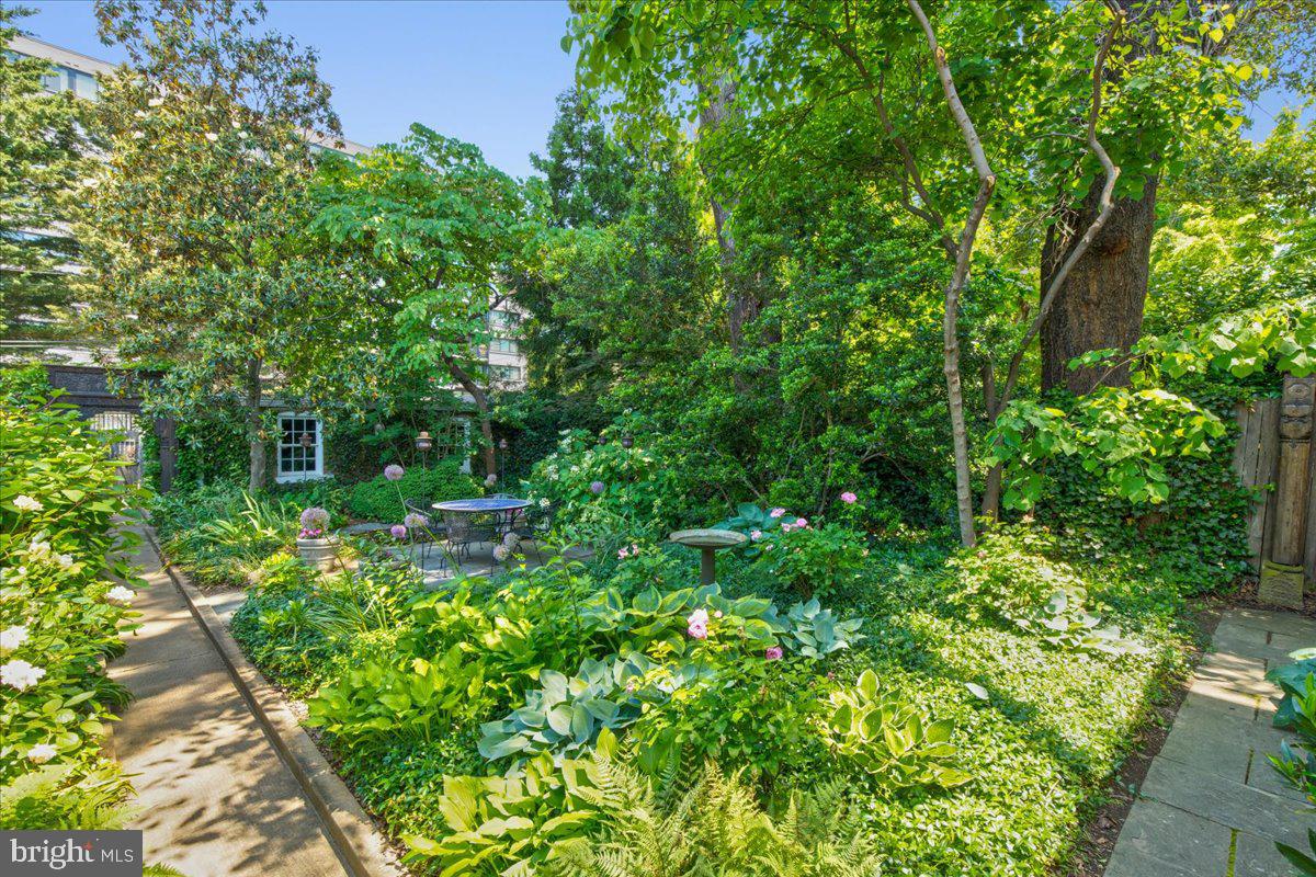 2945 Upton Street Northwest Washington, DC 20008 - Photo 42 of 48