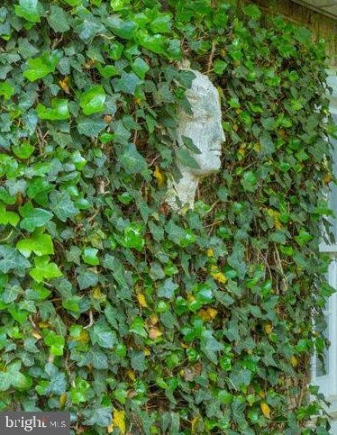 2945 Upton Street Northwest Washington, DC 20008 - Photo 45 of 48