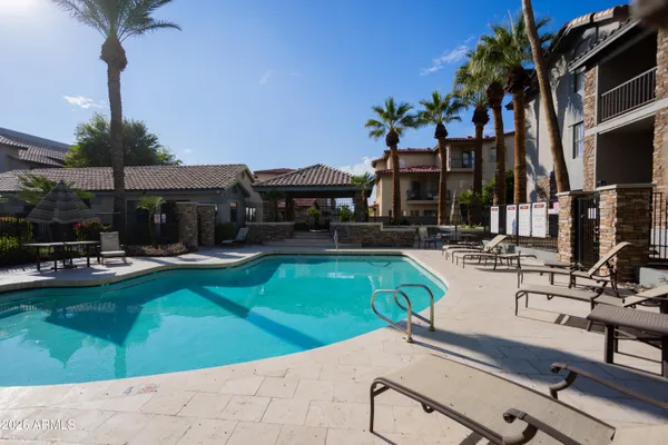 a view of a swimming pool with chairs and plants