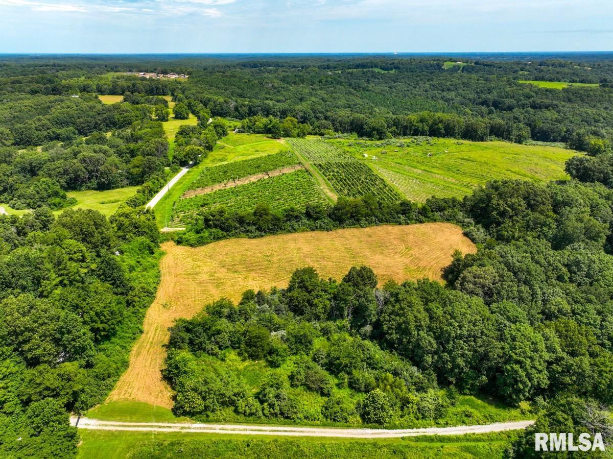 0 Robinson Hill Road Makanda, IL 62958 - Photo 18 of 29