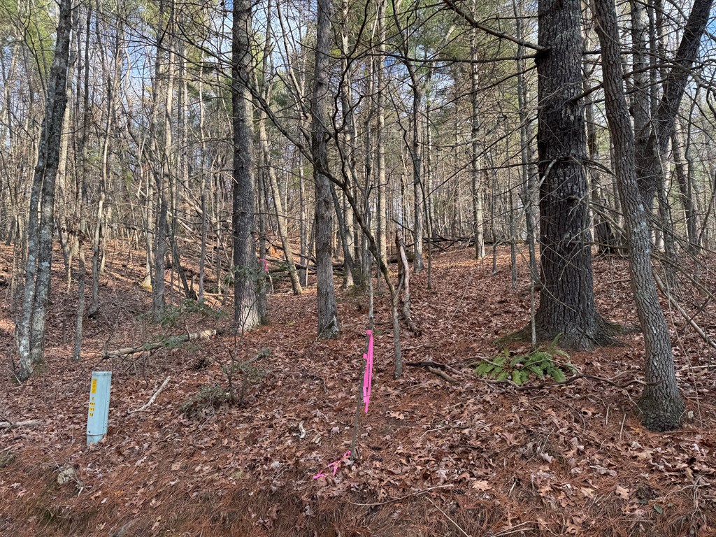 3.18 Rass Dover Road Blairsville, GA 30512 - Photo 4 of 7 Gallery Image 4