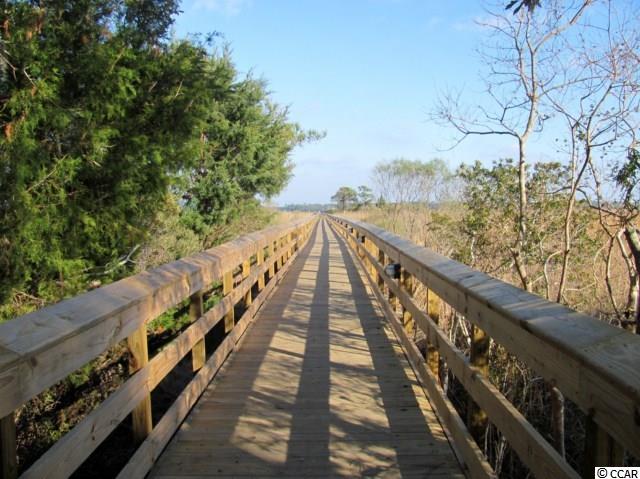 186 Commanders Island Road Georgetown, SC 29440 - Photo 2 of 16 Gallery Image 2