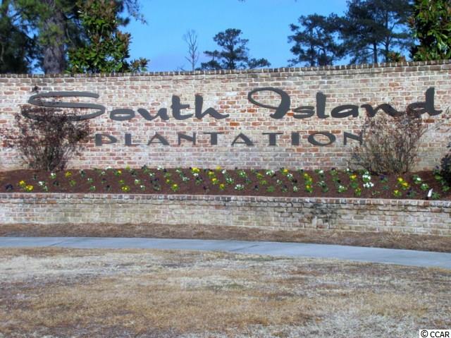 186 Commanders Island Road Georgetown, SC 29440 - Photo 6 of 16 Gallery Image 6