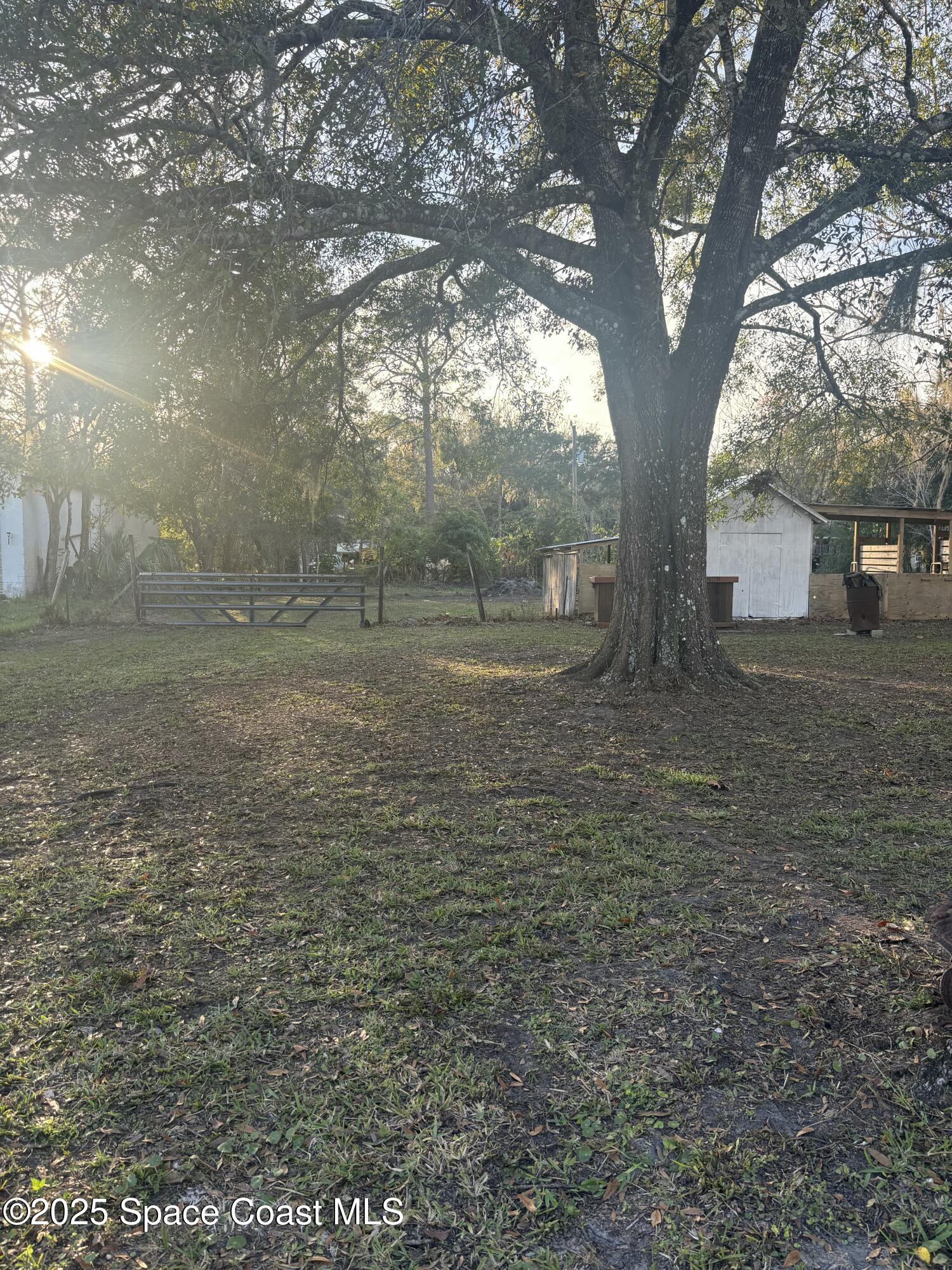 4870 Meadow Green Road Mims, FL 32754 - Photo 34 of 35 Back Yard