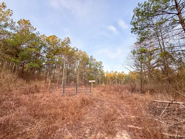 $243,800 | 0 County Road 4320, De Kalb, TX 75559